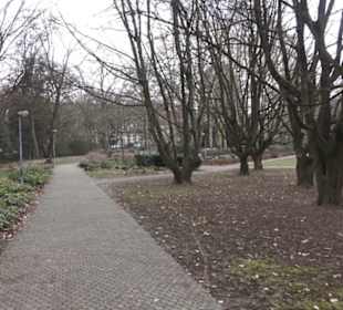 Altstadt 