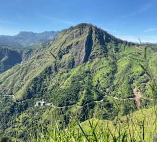 Aussicht vom Little Adams Peak 