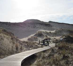 Amrum, Westseite, Strand- und Dünenbereich
