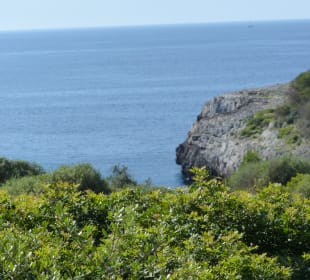 Drachenhöhle / Coves del Drac
