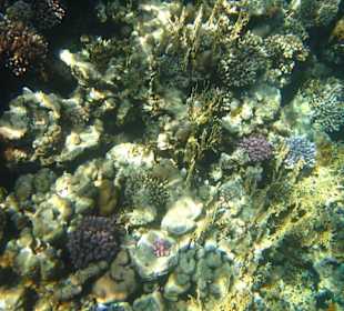 Am Hausriff Dreams Beach Resort & Dreams Vacation Resort