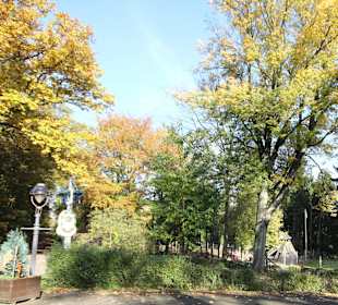 Blick zum Wildgatter 