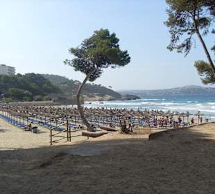 Platja de Tora