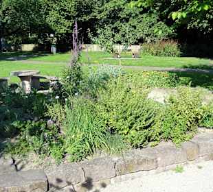 Impressionen aus dem Interkulturellen Garten