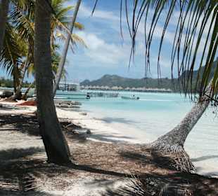 Lagune Bora Bora