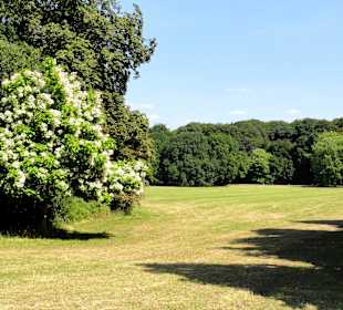 Impressionen aus dem Bürgerpark