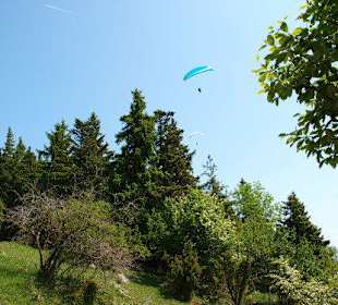 Hohe Wand