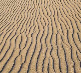 Dünen von Maspalomas