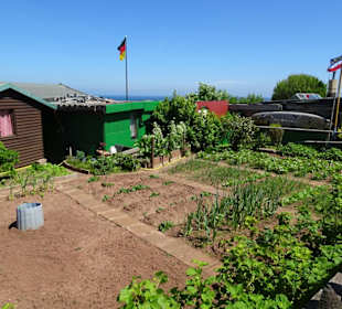 Rundgang durch die Schrebergarten-Kolonie