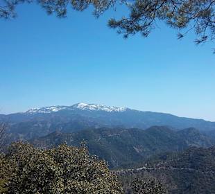 Schneebedeckter Olymp im Troodos-Gebirge