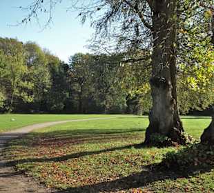 Rundgang durch den Jenischpark