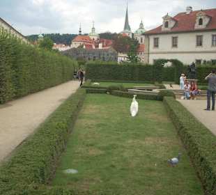 Giardini di palazzo valdstejn