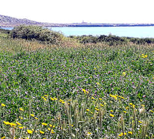 Nationalpark Kap Greco