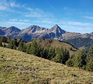 Ausblick