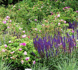 Botan. Garten Göteborg