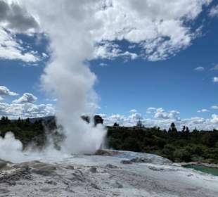 Geyser