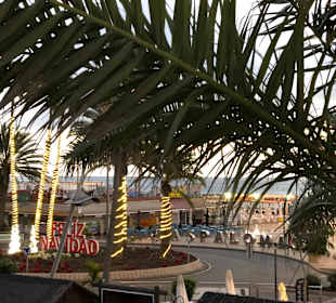 Stadtrundgang Maspalomas