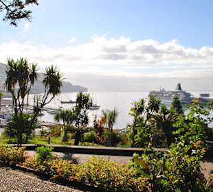 Hafen mit Kreuzfahrtschiff