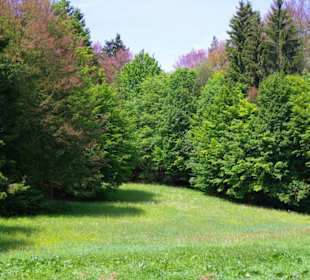 Wanderung zum Bärenfels