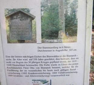 Bismarkeiche