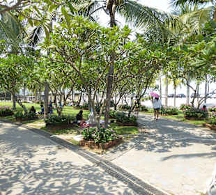 Großzügig angelegte Grünflächen