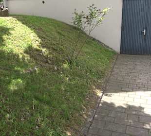 Rathaus Unteriflingen