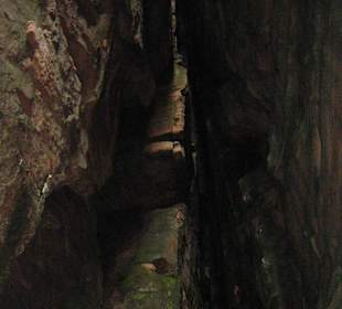 Adrchšpachské skály