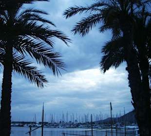 Abendstimmung am Strand von Alcudia