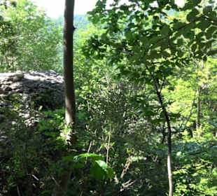 Premiumwanderweg "hochgelegen"