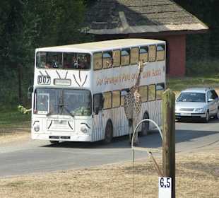 Safari Bus on Tour