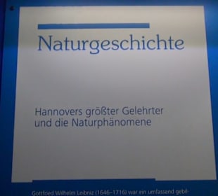 Niedersächsisches Landesmuseum