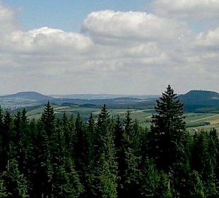 Rundblick