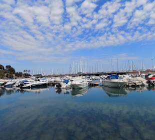 Hafen von Palma de Mallorca im März 17