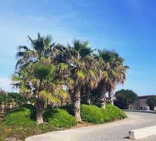 Strandpromenade entlang