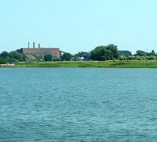 Apollo Tagestour zur Greifswalder Oie 
