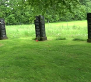 Neuer Friedhof am Schorren