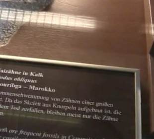 Naturhistorisches Museum