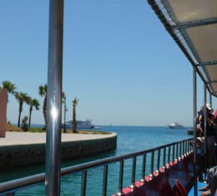 Oben an Bord auf dem Weg zum Tauchgang