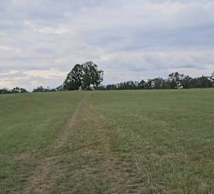Premiumwanderweg „hochgehtürmt"