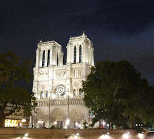 Notre Dame nocą