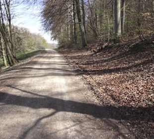 Wanderweg Hochgehkämpft