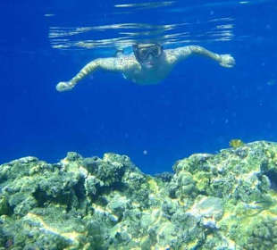 Schnorcheln im Ras Mohammed | Bustour  - Sharm el Sheikh Aus