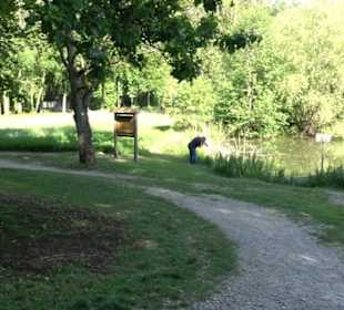 Kurpark Bad Niedernau