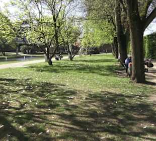 Rheinisches Landesmuseum