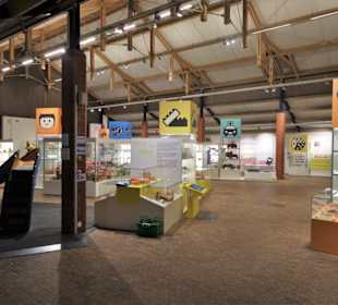 In den Spielwelten des Freilichtmuseums