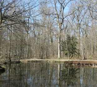 TraumRunde Schwanberg: am Zypressensee