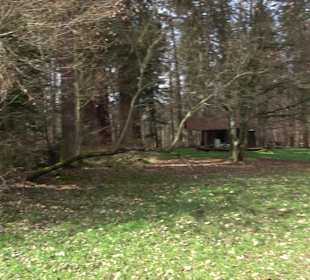 Gomaringer Rundweg - Zu den Giganten im Wald