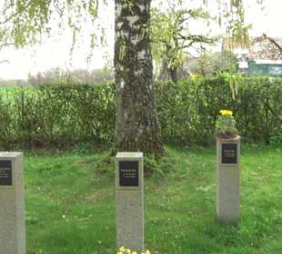 Friedhof Sonderbuch