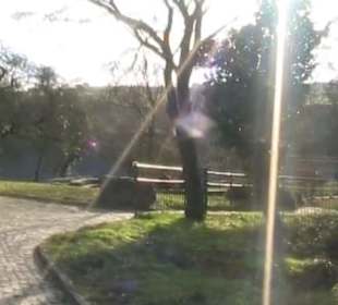 Loreley