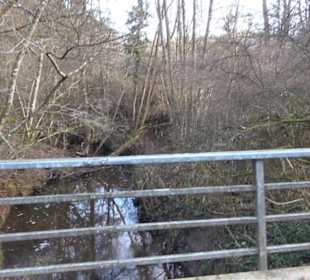 Schönbuch Schaichtal